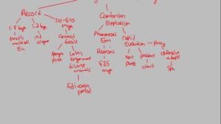 Origin of Life  Origins of Multicellularity  BIALIGYcom [upl. by Suoirred]