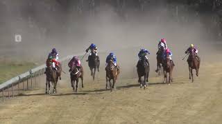 Stanthorpe 21102023 Race 4 [upl. by Loggins]