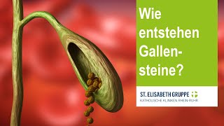 Wie entstehen Gallensteine [upl. by Gottwald]