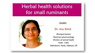 Herbal health solutions for small ruminants Sheepfarming Goatfarming Sathyazerograzing [upl. by Oina]