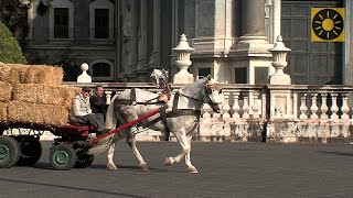 SIZILIEN  Teil 2 quotGlanzlichter von Syrakus Catania und den Ätna entdeckenquot SICILY  SICILIA [upl. by Reine]