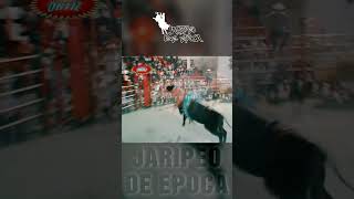 JUDAS DE NAUCALPAN VS COLIBRIjaripeodeepoca [upl. by Dur891]