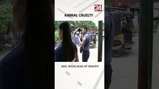 Aso sinaktan at binato ng kaniyang amo shorts  24Oras [upl. by Naes]