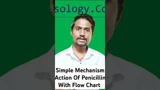 Mechanism Action Of Beta Lactam Antibiotics In pharmocolog For Bsc Nursing 4th Semester nursing [upl. by Shirley776]