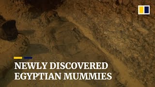 Mummies found in newly discovered tombs in Egypt [upl. by Ettener181]