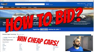 How to Bid on Cars at Copart  What Broker I Use [upl. by Beichner]