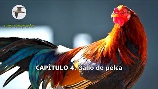 0410 Gallo de pelea Enseñanzas sobre las historias del sabio taoísta Chuang Tzu [upl. by Yleve444]