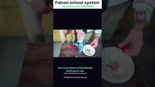 How produce carbon dioxide gas in the school labentertainment school experiment gas [upl. by Fraze]