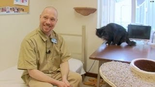 Inmates pair up with rescue cats [upl. by Elidad]