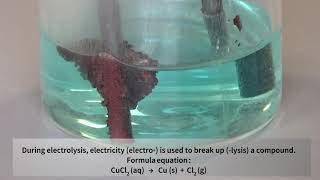 Electrolysis of Copper Chloride solution National 5 [upl. by Nove]