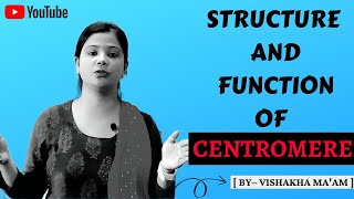 STRUCTURE AND FUNCTION OF CENTROMERE  BY– Vishakha Maam [upl. by Oiliruam]