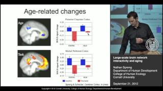 Largescale Brain Network Interactivity and Aging [upl. by Obellia]