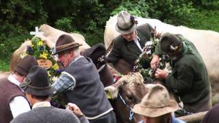 Pfronten Urlaub im Allgäu und der Viehscheid [upl. by Jim565]