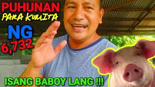 MAGKANO ANG PUHUNAN SA 1 BABOY [upl. by Ihskaneem]