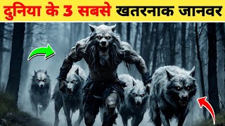 दुनिया के 3 सबसे खतरनाक जानवर  3 most dangerous animals in the world [upl. by Elleret]