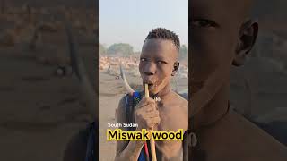 Pranje zubi na prirodam način sa miswak drvom travel southsudan tribe [upl. by Nirehs463]