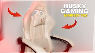 CADEIRA GAMER HUSKY GAMING TEMPEST 700  2 ANOS DE USO [upl. by Ellenrahc649]