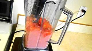 How to make sorbet in the Vitamix [upl. by Elakram]