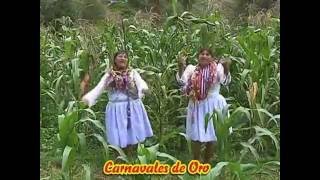 LINDO CARNAVAL AYACUCHANO  Hermanas De La Cruz [upl. by Schreiber]