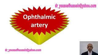 Ophthalmic artery  Origin  Course  Branches  Central artery of retina  Complete blindness [upl. by Sateia]