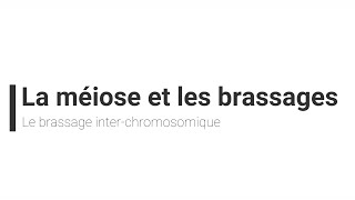 eSVT La méiose et le brassage interchromosomique [upl. by Htir]