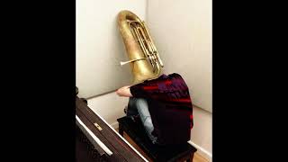 sad tuba boss theme 2 [upl. by Nanor]