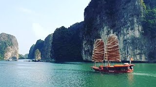 Boat trip one day Tony Tours Halong Bay halongbay [upl. by Ahsikyt]