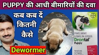 Drontal Puppy Wormer Suspension how to use  Best Deworming Syrup for puppy [upl. by Jody]