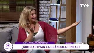 ¿Cómo activar la glándula pineal [upl. by Ruscio]