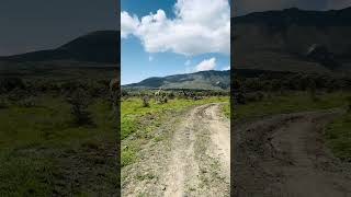 Land For Sale in Naivasha Available in 5 amp 10 Acres landforsale wildlife naivasha realestate [upl. by Eugilegna120]