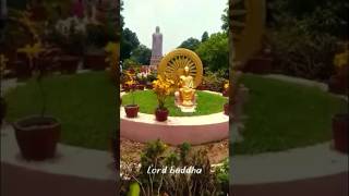 God Buddha sarnath temple Varanasi Uttar Pradesh India godbuddhabudsitpeaceofmind [upl. by Thurber612]