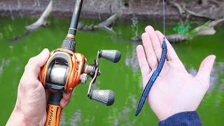 Catch 15x MORE Bass  TRY THIS Bass Fishing Tips [upl. by Padraic]