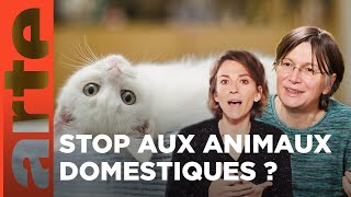 Fautil libérer les animaux domestiques   Les idées larges  ARTE [upl. by Buckingham]