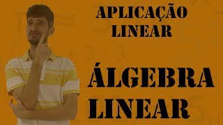 Introdução a Aplicação Linear e Matrizes [upl. by Yssirc]