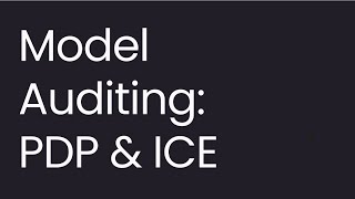 Model Auditing Partial Dependence Plot PDP and Individual Conditional Expectation ICE [upl. by Nicolai]