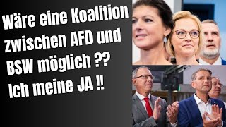 Wäre eine Koalition von AfD und BSW möglich  Ich meine JA [upl. by Tsiuqram]