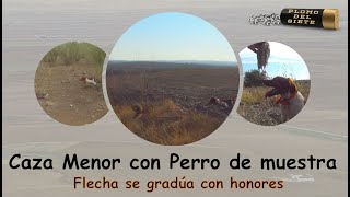 Caza Menor con perro 2023 Flecha se gradúa en solitario con honores [upl. by Barren]