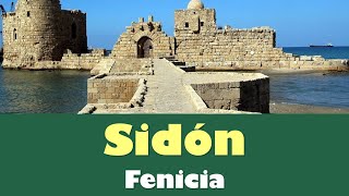 ⭐Sidón ciudad de la realeza Cultura Fenicia 📗 aulamedia Historia [upl. by Kelton623]