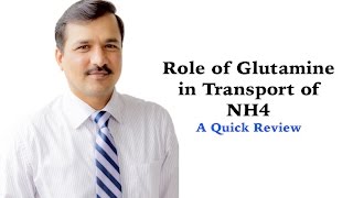 Role of Glutamine in Transport of NH4 from tissues to liver [upl. by Derril]