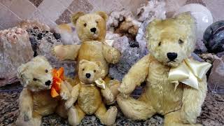 4 Vintage Steiff 1950s Gold Mohair Original Teddy Bears [upl. by Aplihs198]