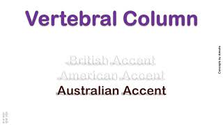 Vertebral Column How to Pronounce Vertebral Column in Australian British American Accent [upl. by Nahtannoj]