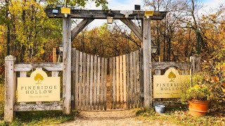 Pineridge Hollow an amazing place to visit in Birds Hill park  Manitoba [upl. by Yzzo776]