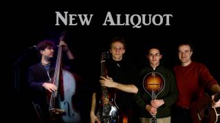 New Aliquot  new acoustic music quartet [upl. by Wolliw]