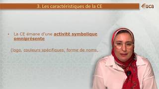 Chapitre 1  Les fondements du Management Interculturel [upl. by Eneleahs]