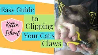 How to Trim Your Cats Nails Safe Painless and Easy [upl. by Atled]