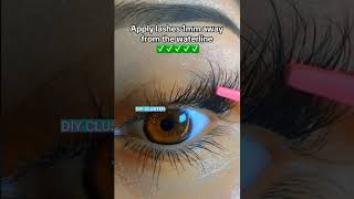 How to Apply DIY LASH CLUSTER Correctly lashes beauty fyp eyelashextensions [upl. by Ennaeirb252]