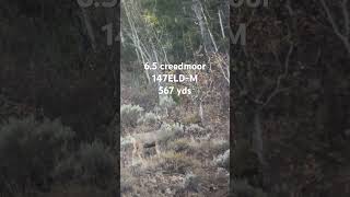 65 creedmoor vs mule deer [upl. by Nelrsa]