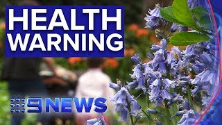 Asthma and hayfever suffers warned of potentially dangerous weather changes  Nine News Australia [upl. by Dwyer]