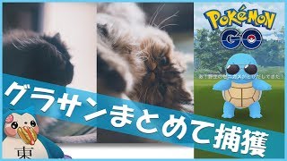 【ポケモンGO】サングラス ゼニガメまとめて捕獲した結果 [upl. by Kareem]