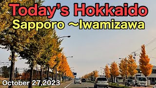 Today’s HokkaidoSapporo 〜IwamizawaOctober 272023Hokkaido Japan [upl. by Nihhi]